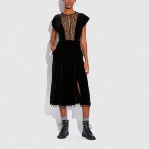 Coach Short Sleeve Black Velvet Dress nwt sz 4